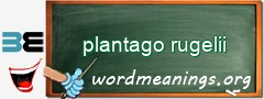 WordMeaning blackboard for plantago rugelii